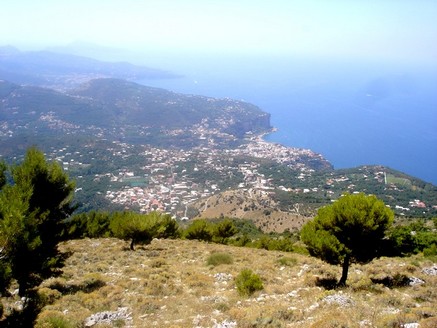 Il panorama